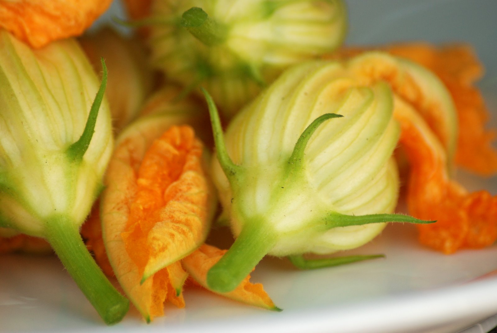 Deep Fried Stuffed Squash Blossoms